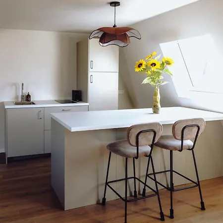 Wellness In Center Of Apartamento
