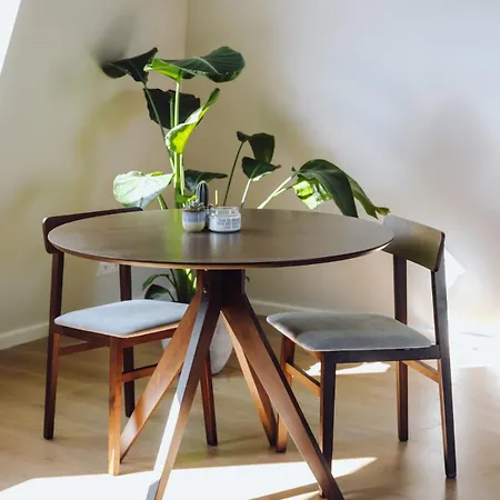 Apartamento Wellness In Center Of Maassluis
