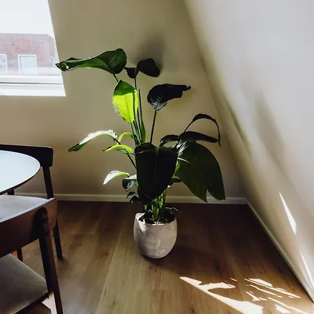 Wellness In Center Of Apartamento Maassluis